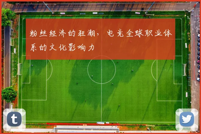 粉丝经济的狂潮,电竞全球职业体系的文化影响力